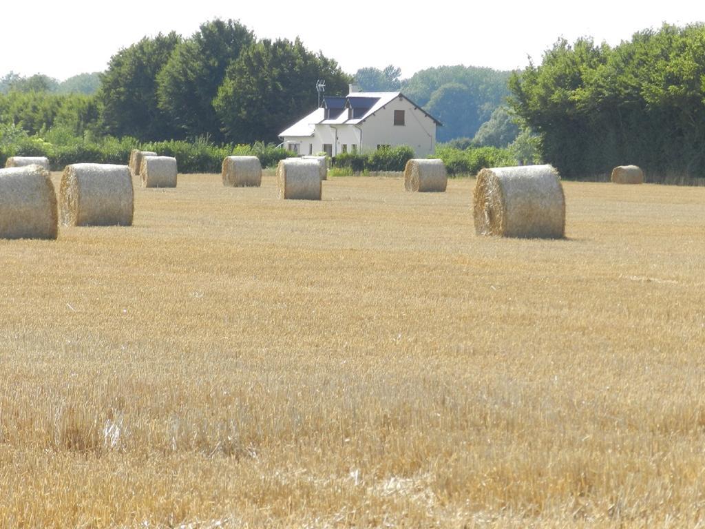 Gite La Grenouillere Esqueheries Exterior photo